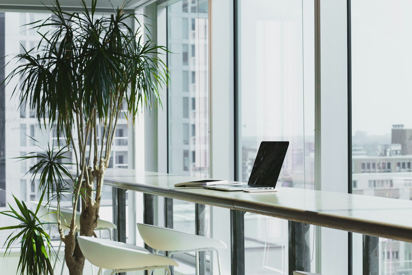 Bright executive workspace with skyline views and indoor planting